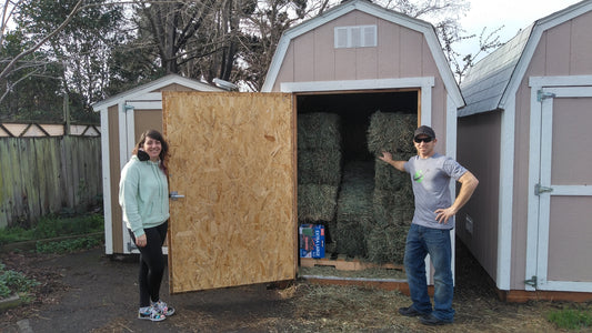High Desert Small Animal Feed visits the House Rabbit Society
