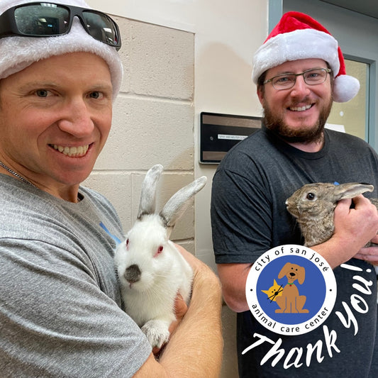 High Desert Small Animal Feed visits the San Jose Animal Care Center & The Rabbit Haven