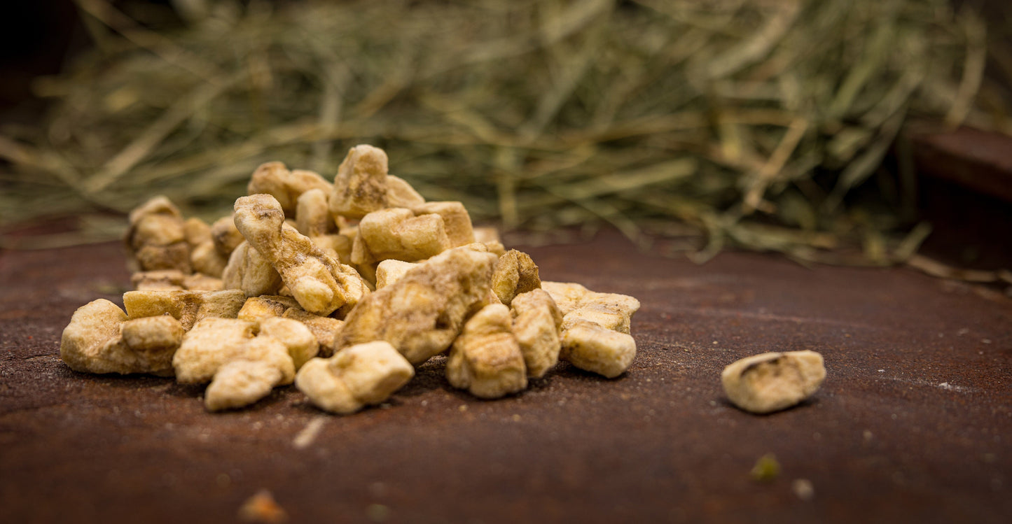 🍌 Freeze-Dried Banana Treats for Rabbits, Guinea Pigs & Small Pets