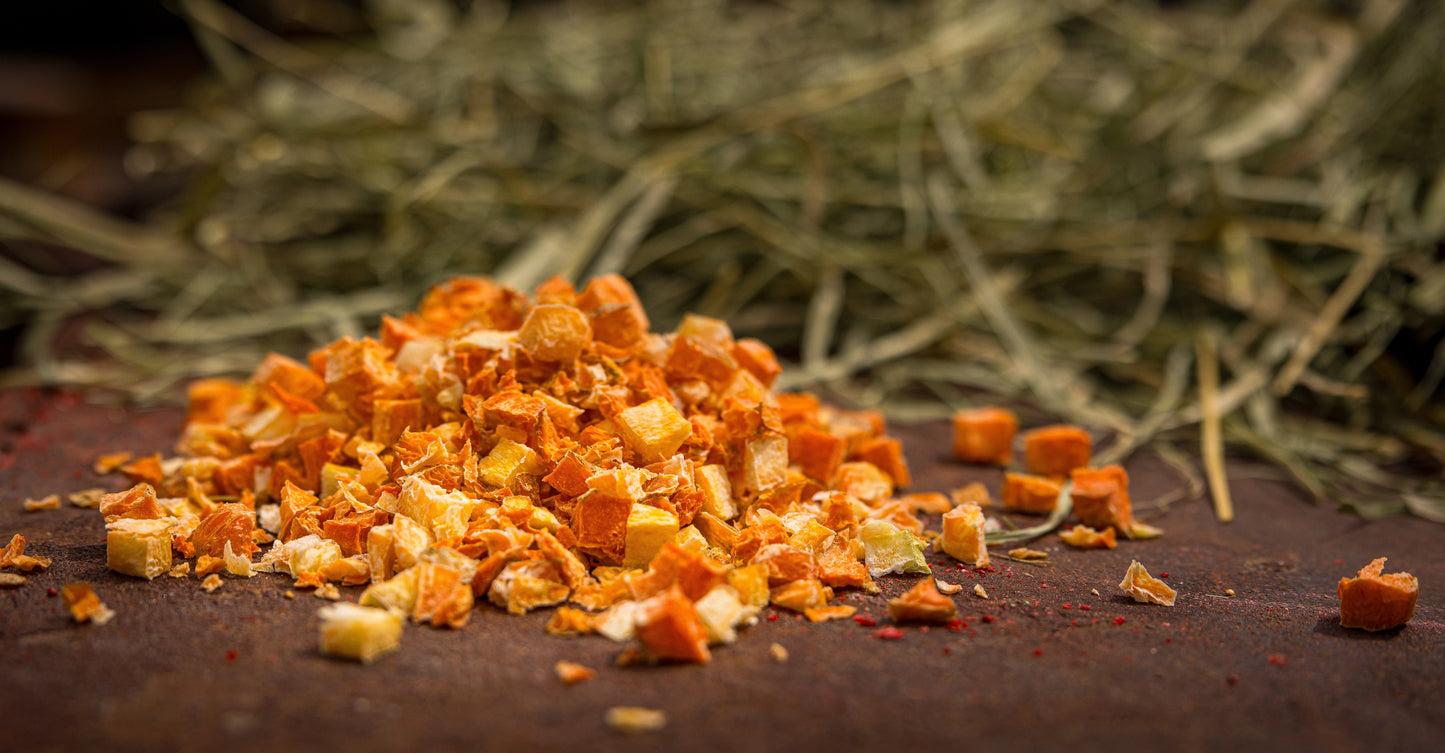 🥕 Freeze-Dried Carrot Treats for Rabbits & Small Pets