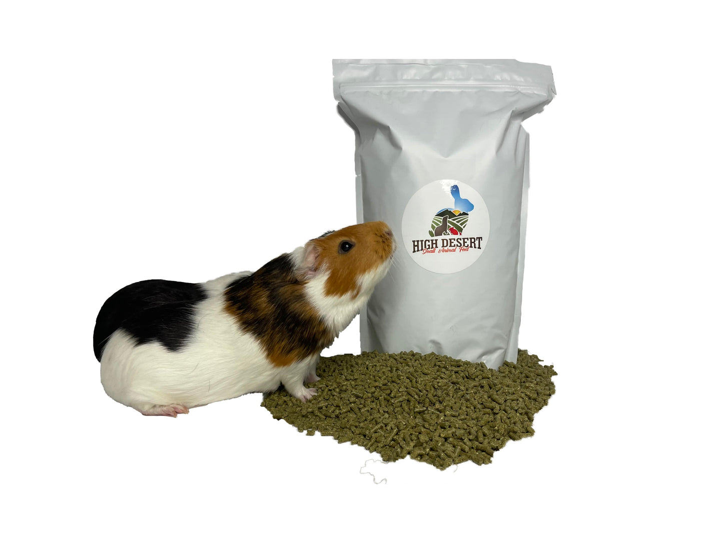 Guinea pig with High Desert food, IMG_5140copy
