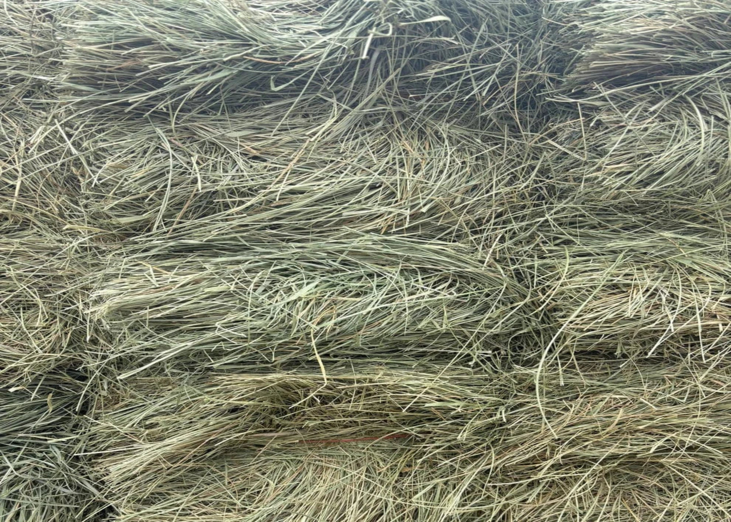 Close-up of dry grass or straw with a natural brown color.
