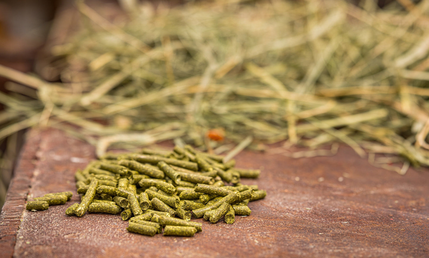 🌱 100% Pure Orchard Grass Pellets