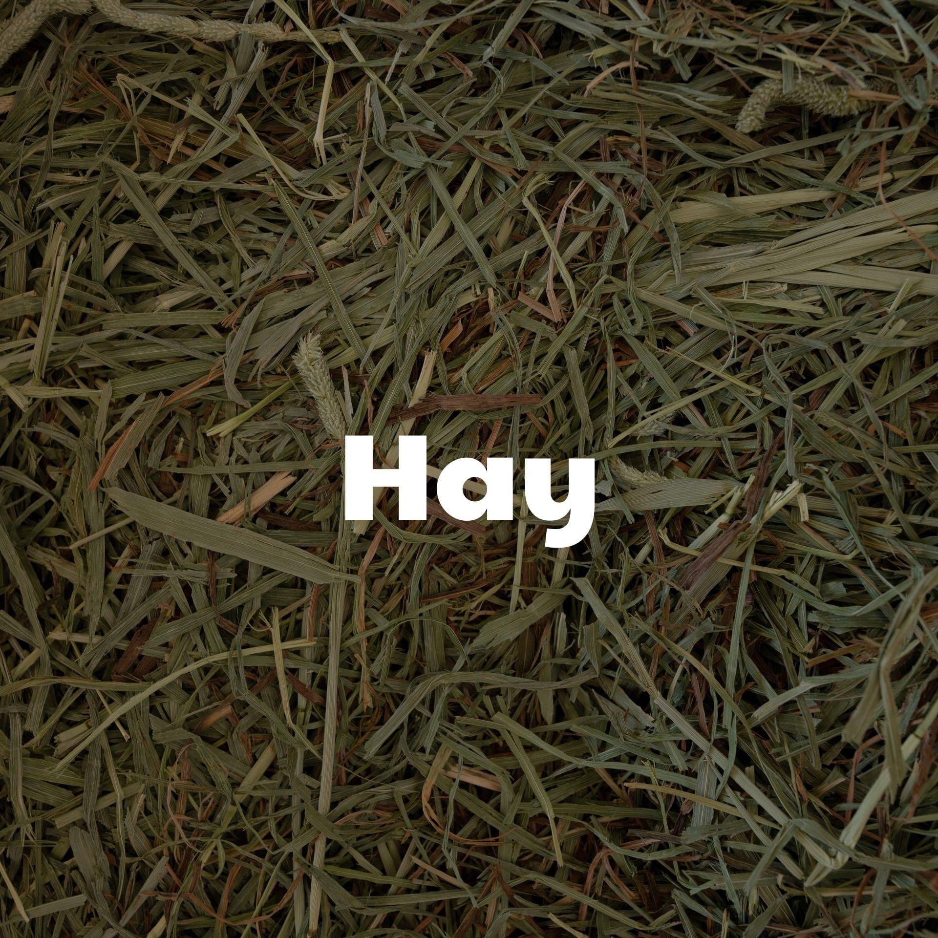 Hay