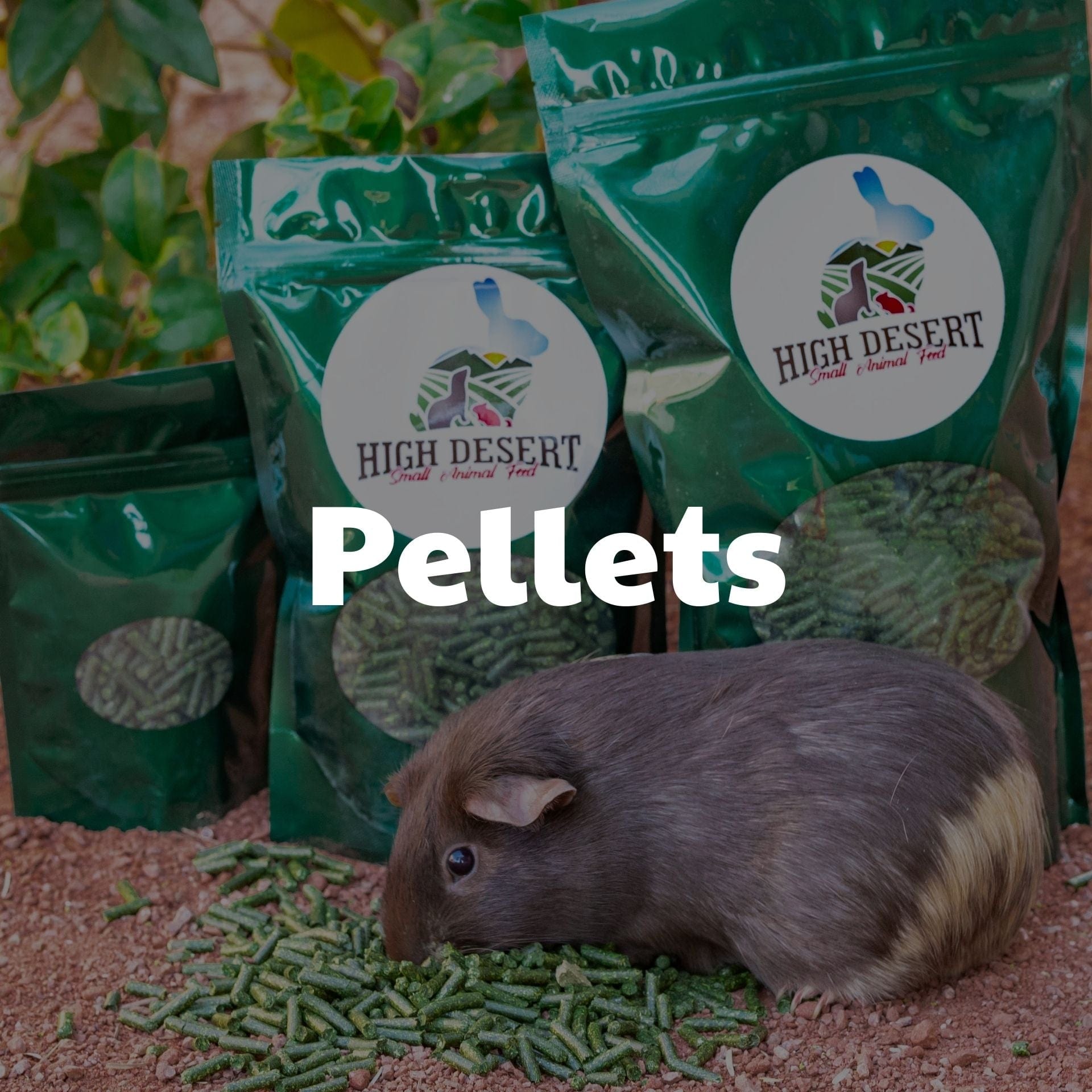 High Desert Pellets for Guinea Pigs