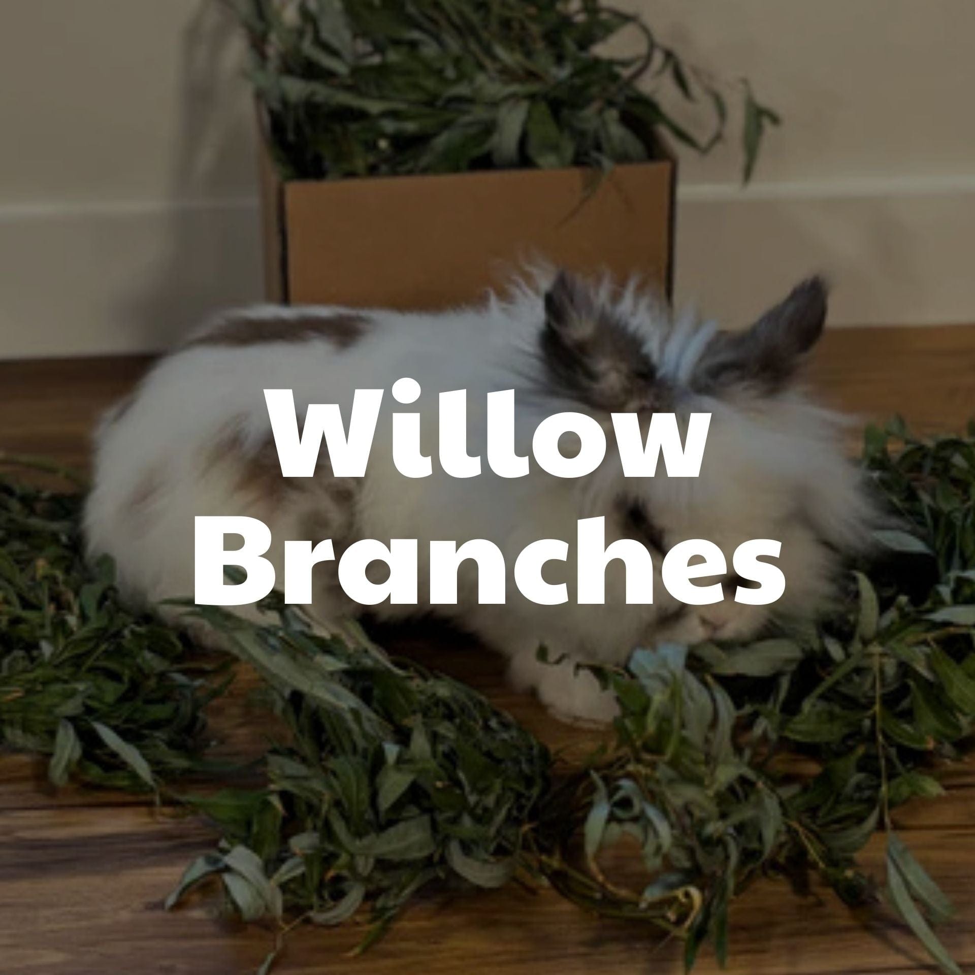 Willow Branches for rabbits