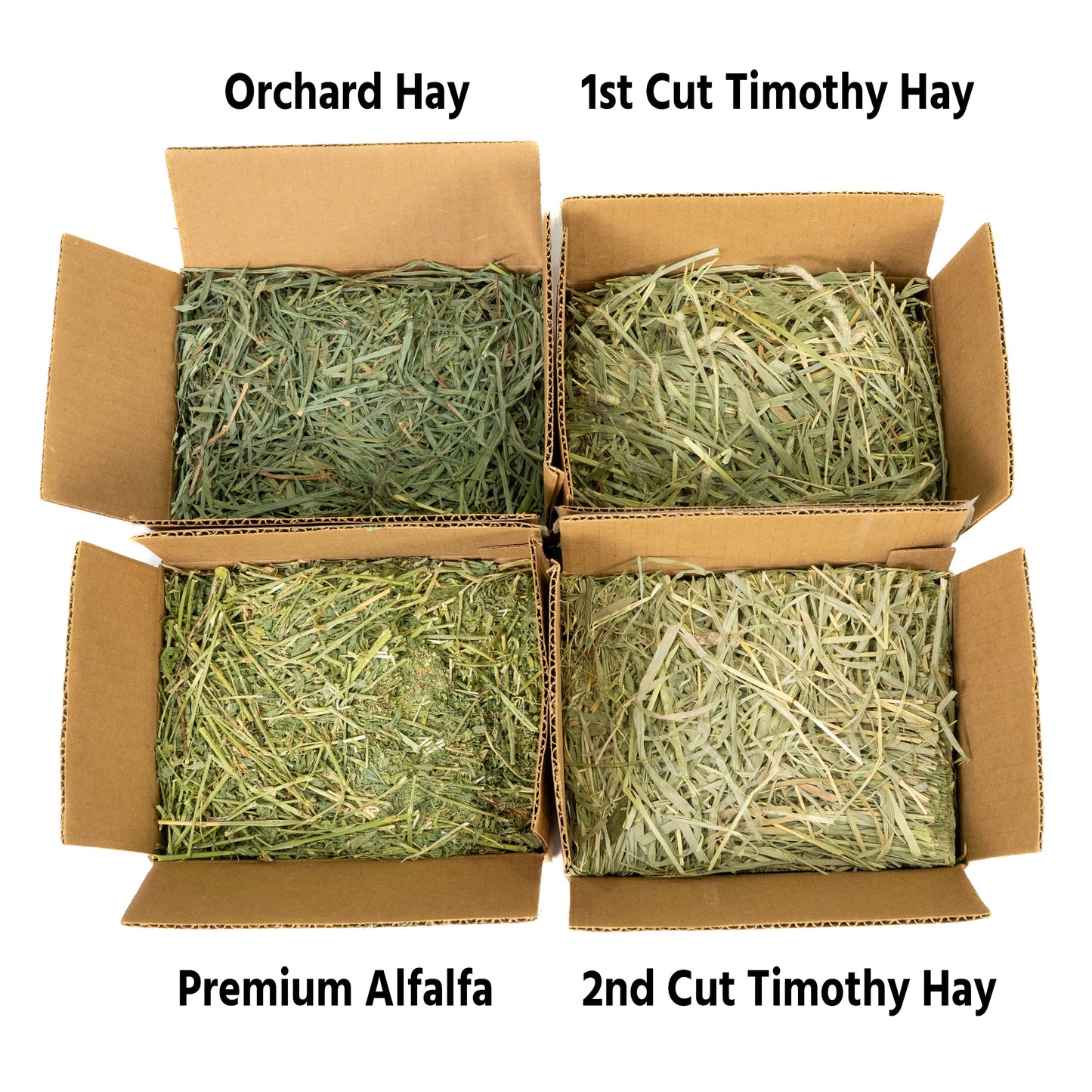 Hay & pellet sampler box – Timothy hay, orchard grass hay, alfalfa & pellet mixes