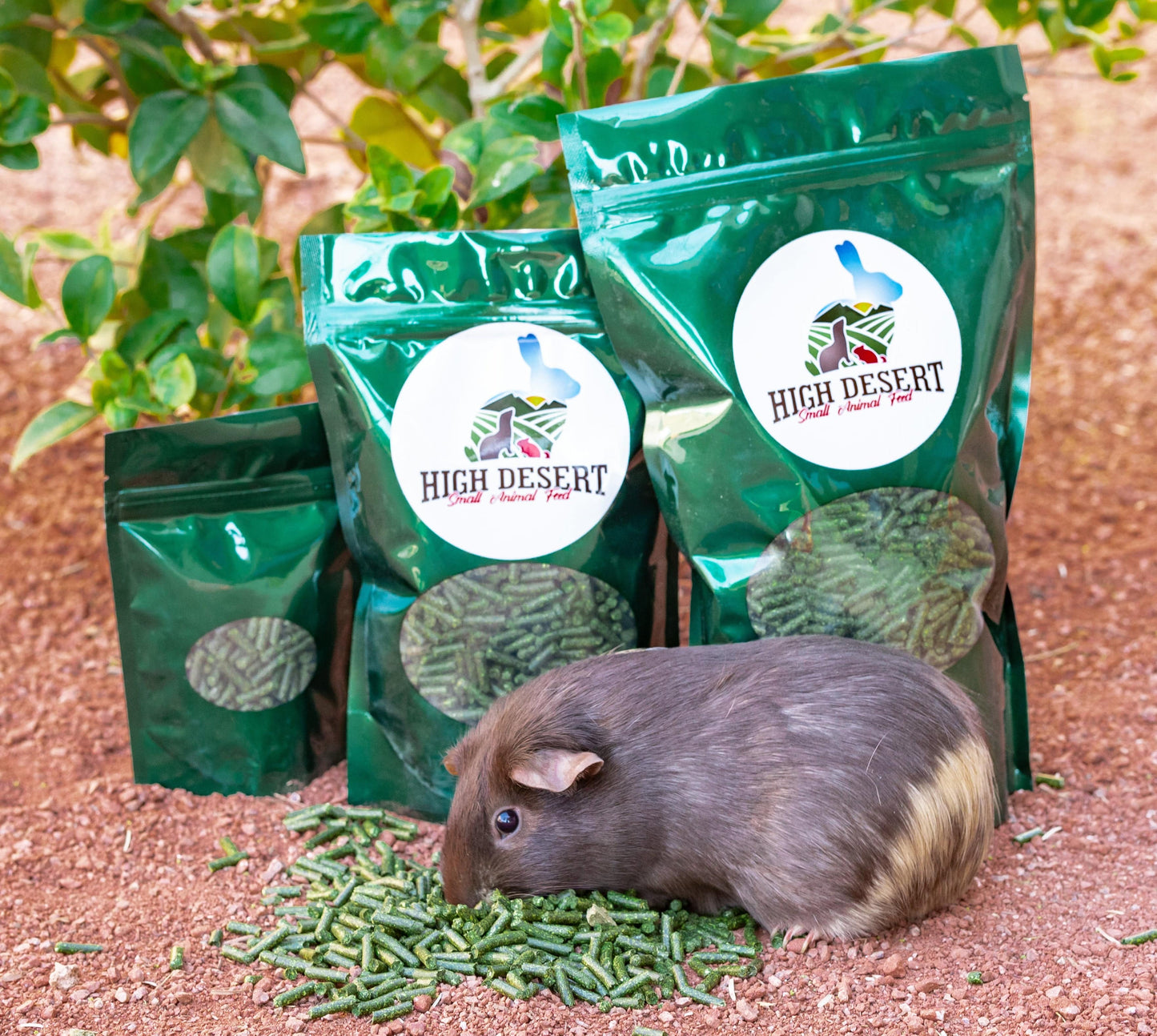 Hay and Pellet sample box with Timothy, Alfalfa & Orchard Grass varieties