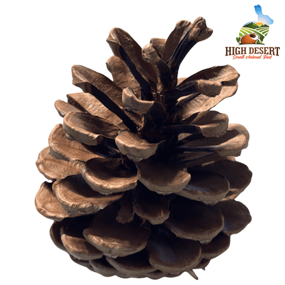 High Desert Forage & Enrichment Bundles for rabbits, guinea pigs, chinchillas, and other small animals