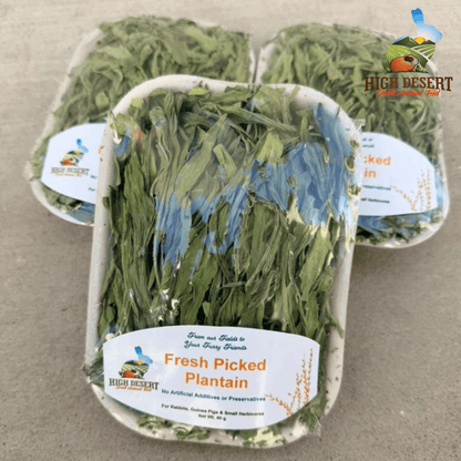 High Desert Natural Forage Blend for Rabbits, Guinea Pigs & Small Pets