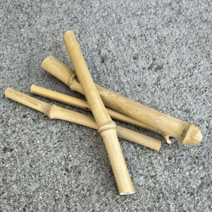 Bamboo Chew Treat Sticks for Small Pets | Natural Enrichment Chews