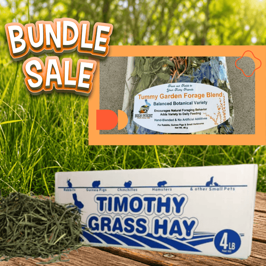 High Desert Daily Fiber & Tummy Support Bundle for rabbits, guinea pigs, chinchillas, and other small animals