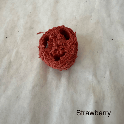 High Desert Luffa Nibbles for Rabbits, Guinea Pigs & Small Pets
