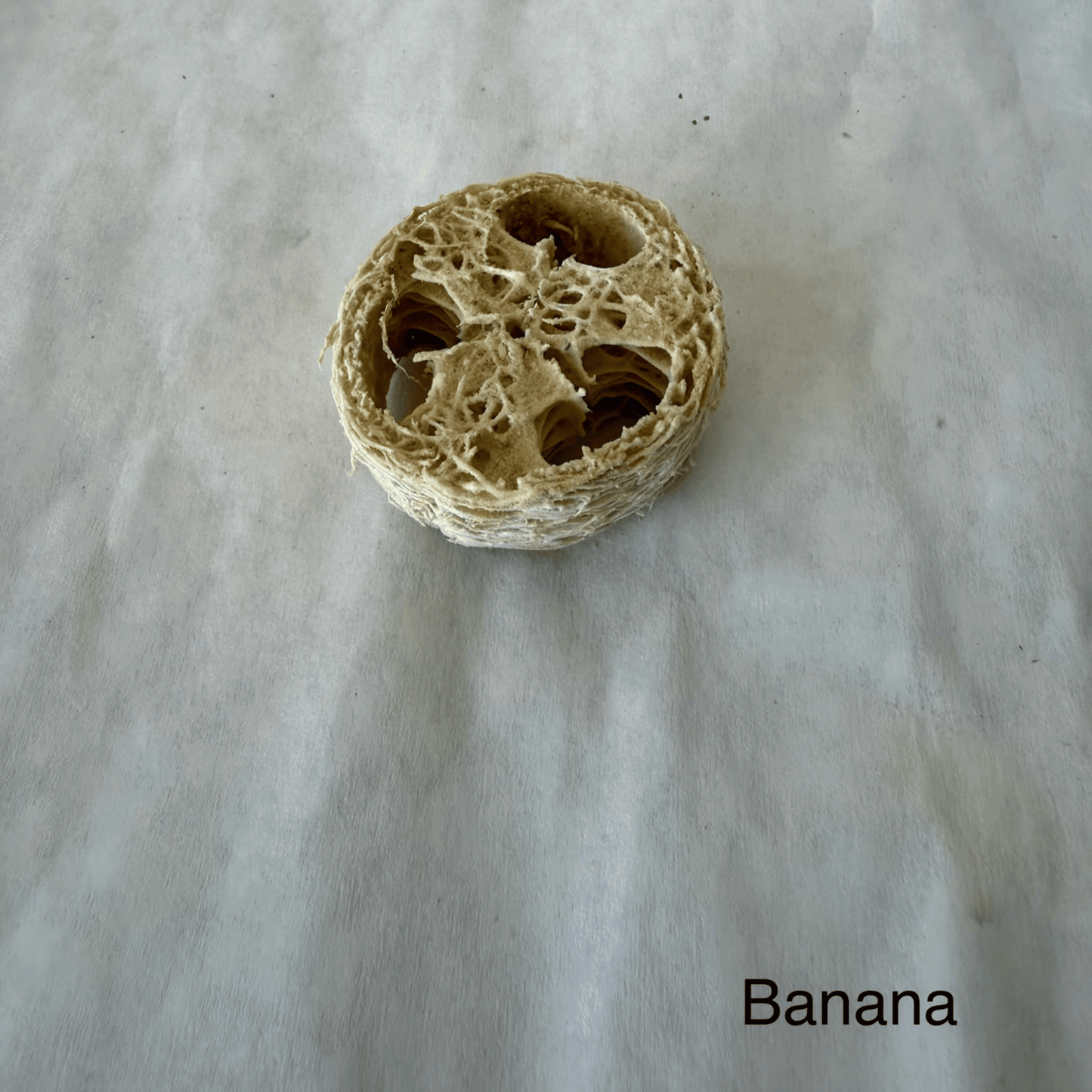 High Desert Luffa Nibbles for Rabbits, Guinea Pigs & Small Pets