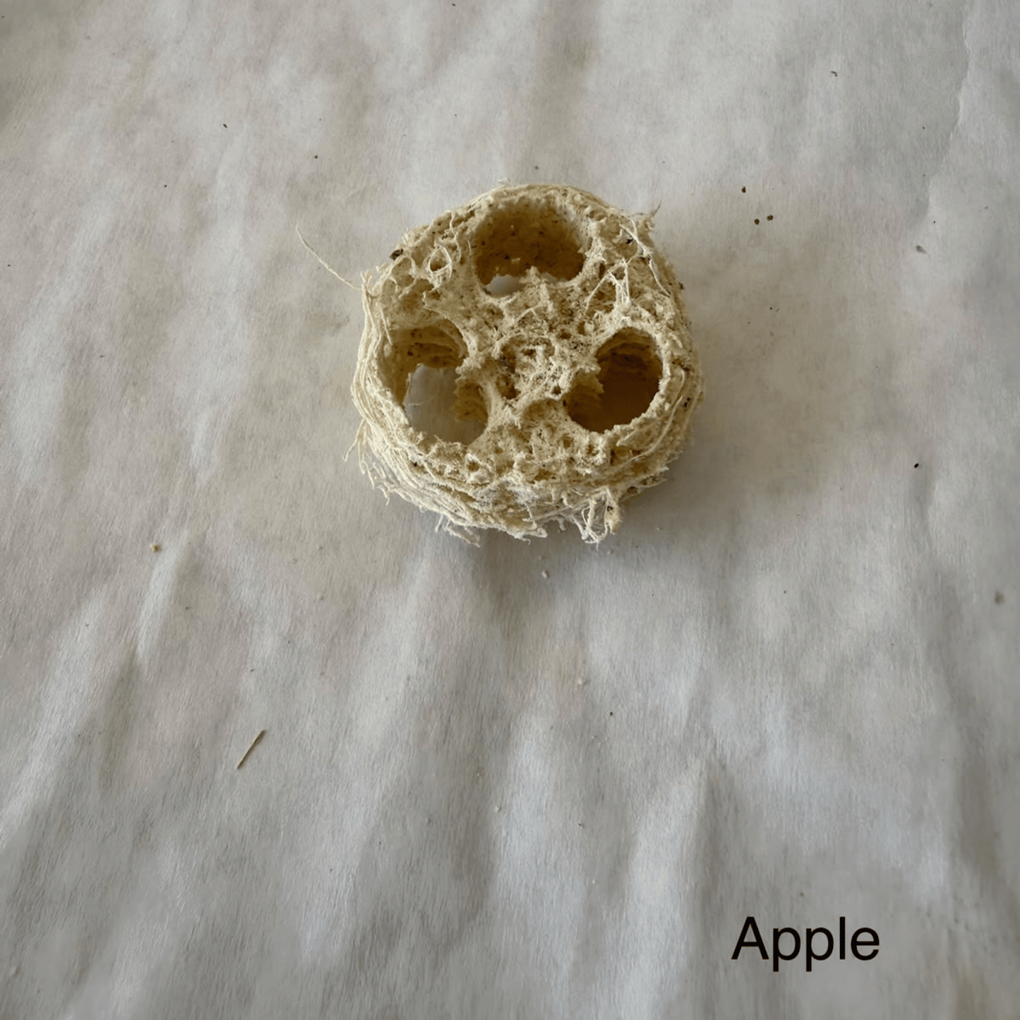 High Desert Luffa Nibbles for Rabbits, Guinea Pigs & Small Pets