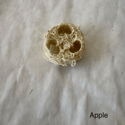 High Desert Luffa Nibbles for Rabbits, Guinea Pigs & Small Pets