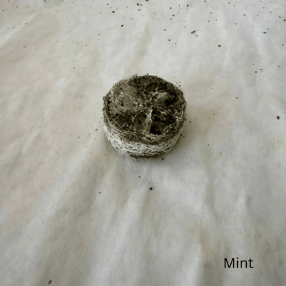 High Desert Luffa Nibbles for Rabbits, Guinea Pigs & Small Pets
