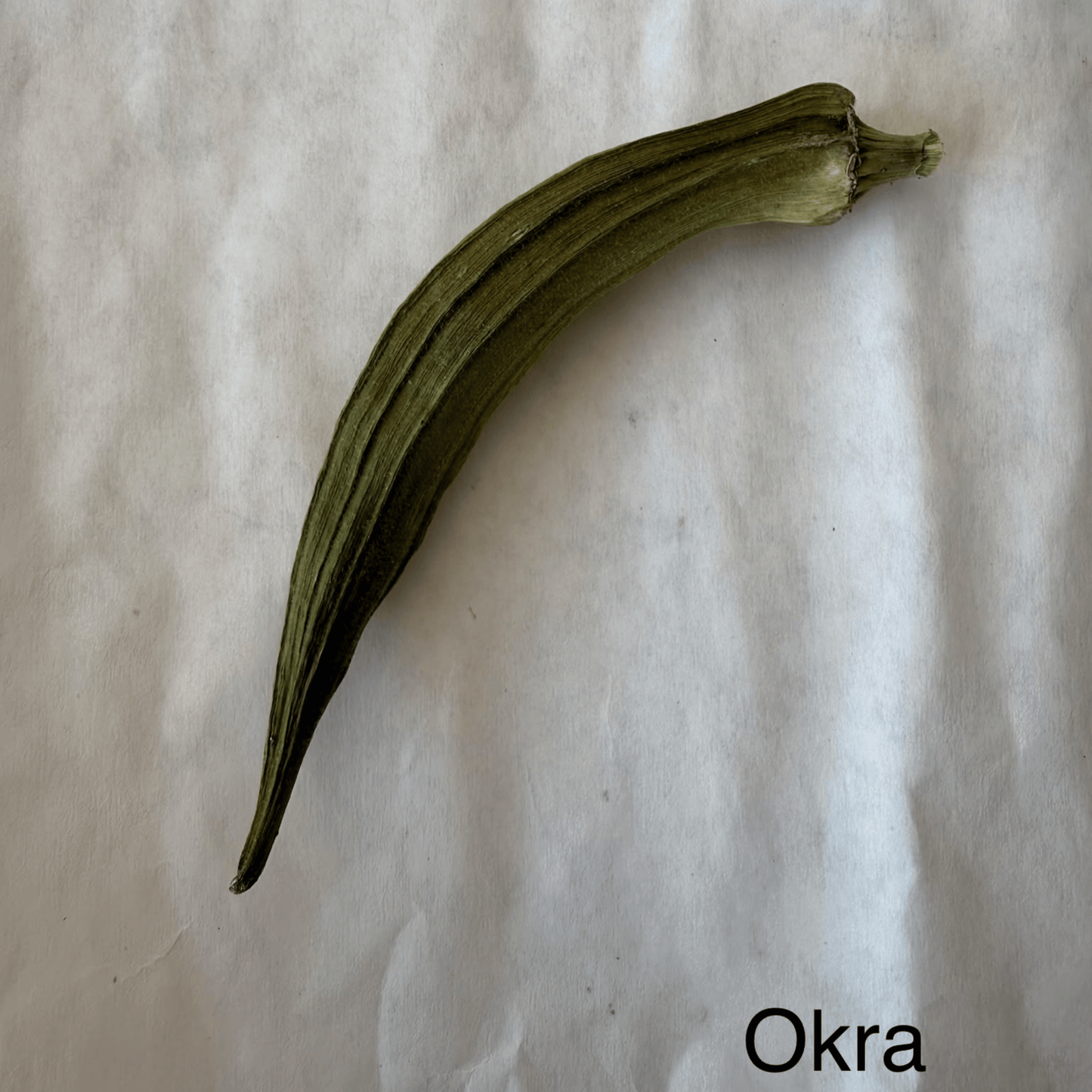 High Desert Crunchy Okra  for Rabbits, Guinea Pigs & Small Pets