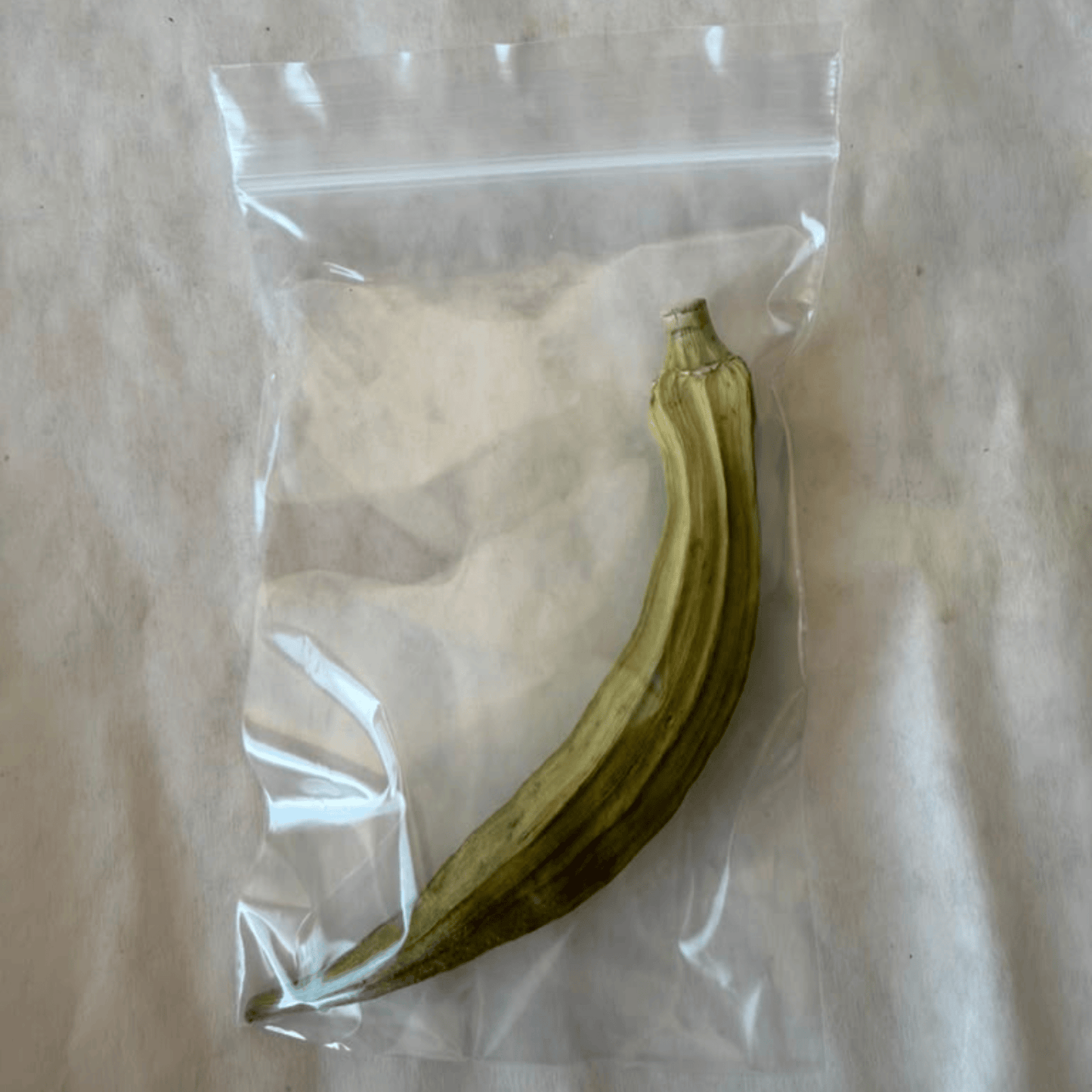 High Desert Crunchy Okra  for Rabbits, Guinea Pigs & Small Pets