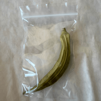 High Desert Crunchy Okra  for Rabbits, Guinea Pigs & Small Pets