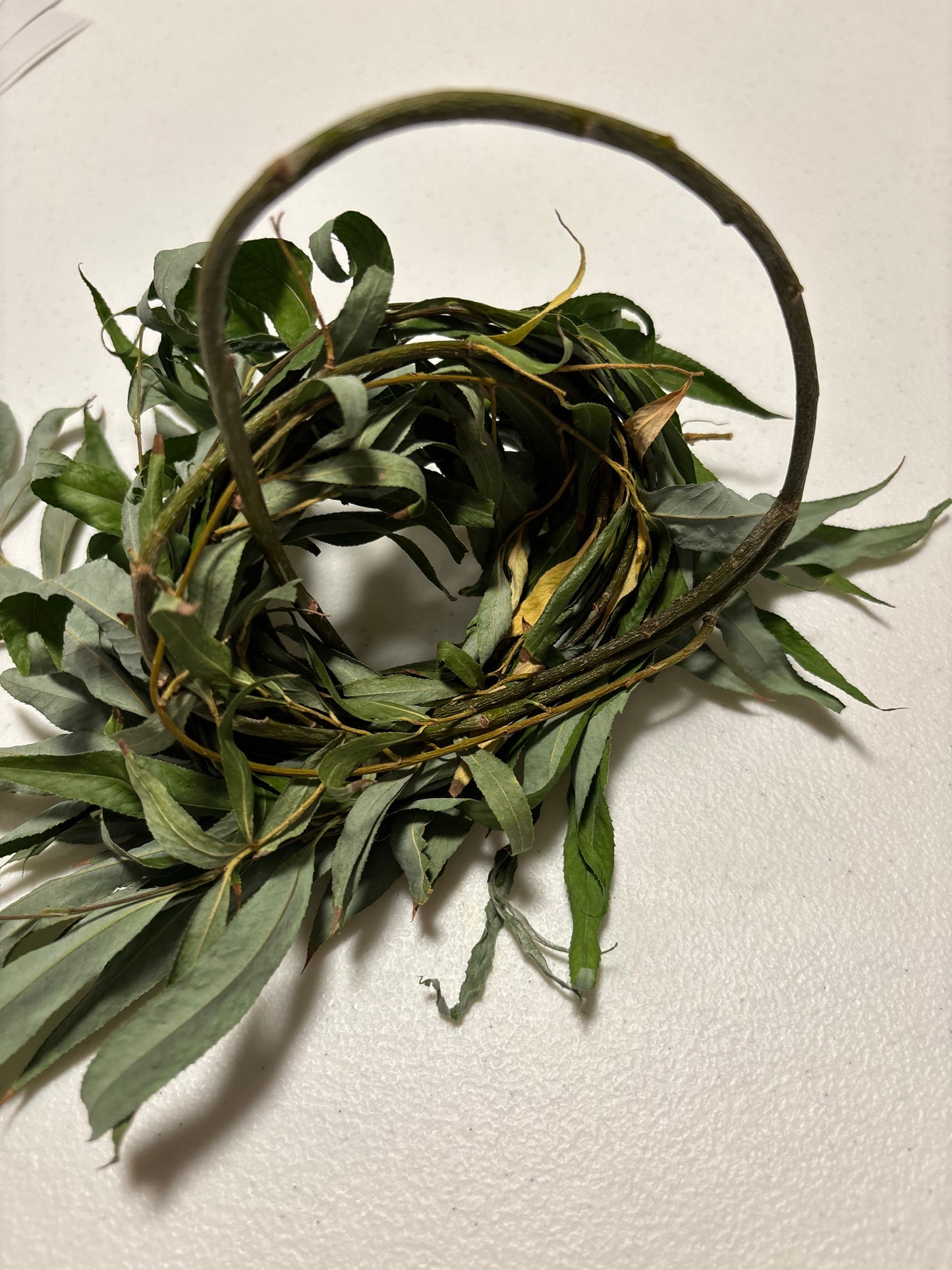 Organic willow branches with leaves for small animals