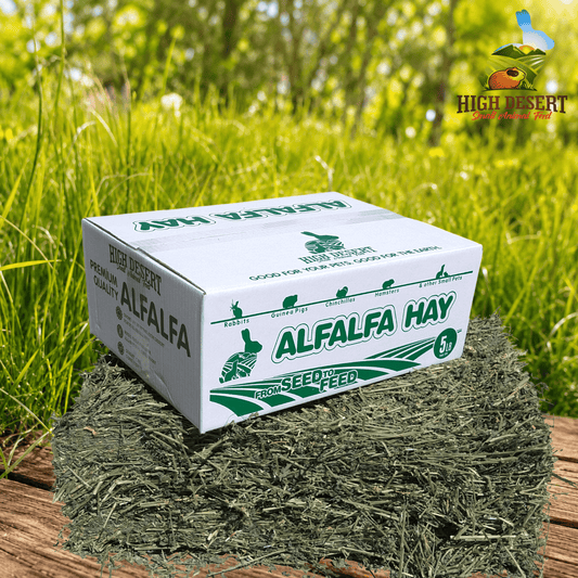 100% Pure Alfalfa Hay for Rabbits, Guinea Pigs, & Small Pets