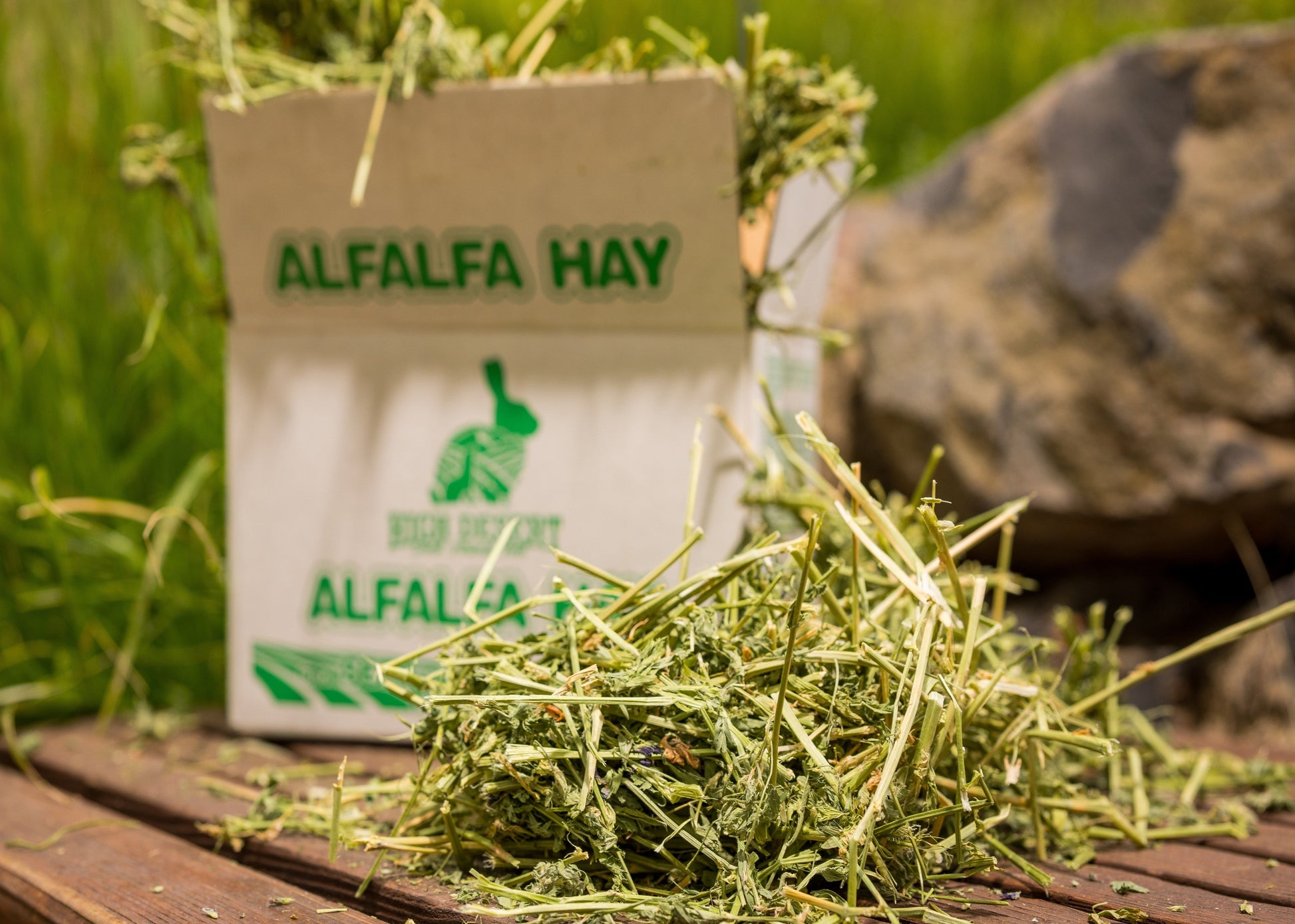 Bag of alfalfa hay with hay on a wooden surface outdoors