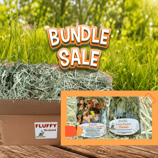 High Desert Ultimate Wellness Bundle for Rabbits, Guinea Pigs & Small Pets