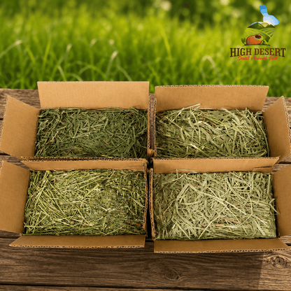 Hay & Pellet Sample Box