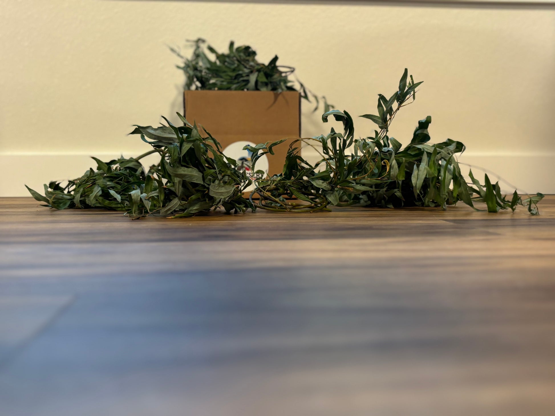 All-natural willow chew branches for rabbits & rodents