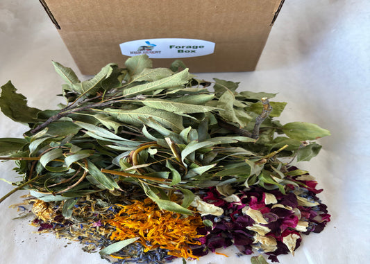 Bouquet of dried herbs and flowers with a cardboard box labeled 'Forage Box' in the background.