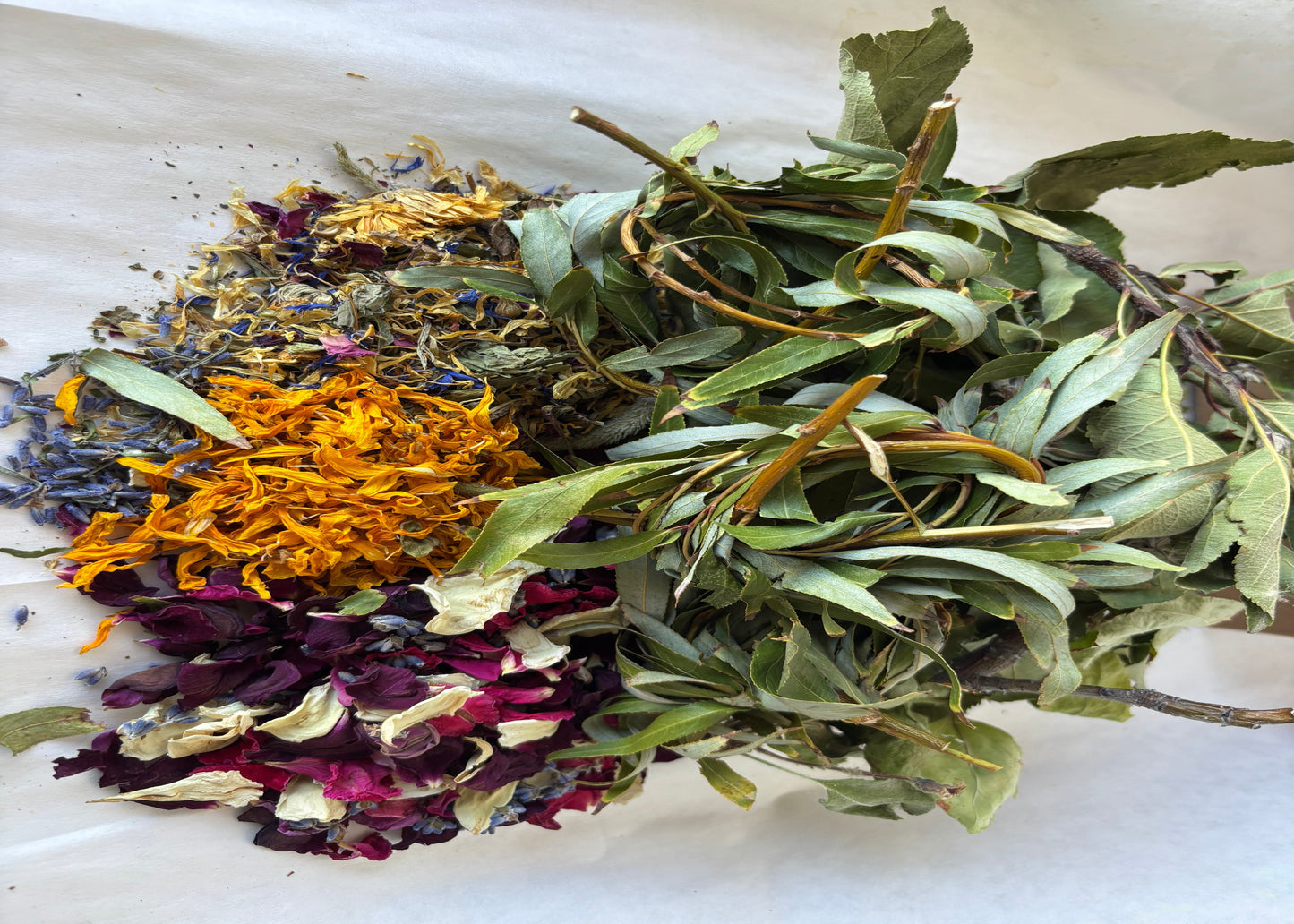 Assorted dried willows, rose, sunflower, pear and apple on a white background