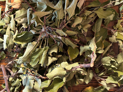 Apple Sticks with Leaves Perfect for Rabbits, Guinea Pigs & Small Pets