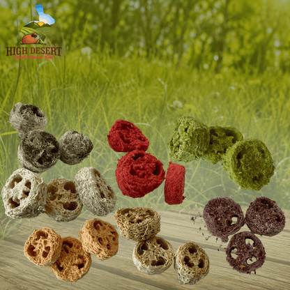 Assorted L:uffa Nibbles