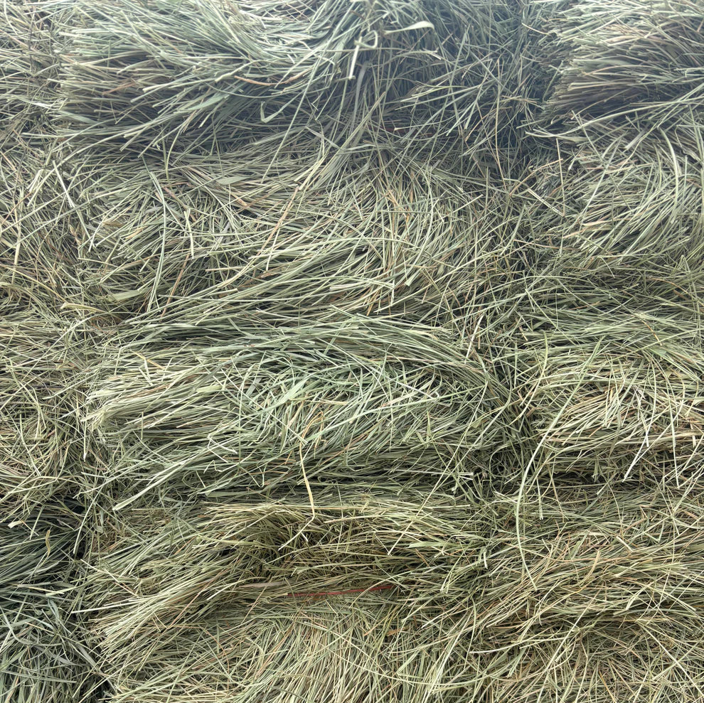 Close-up of dry grass or straw with a natural brown color.