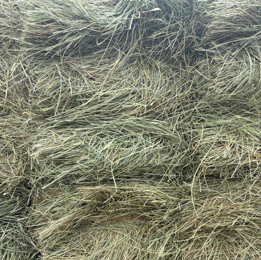 Close-up of dry grass or straw with a natural brown color.