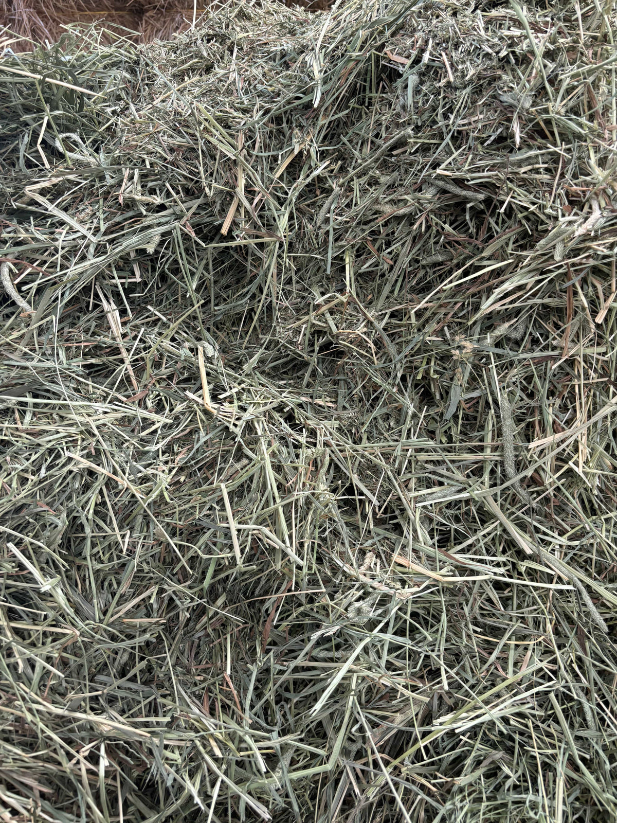 Grassy Hay Rabbit Grass Hay for Rabbits & Small Pets - Soft & Fragrant