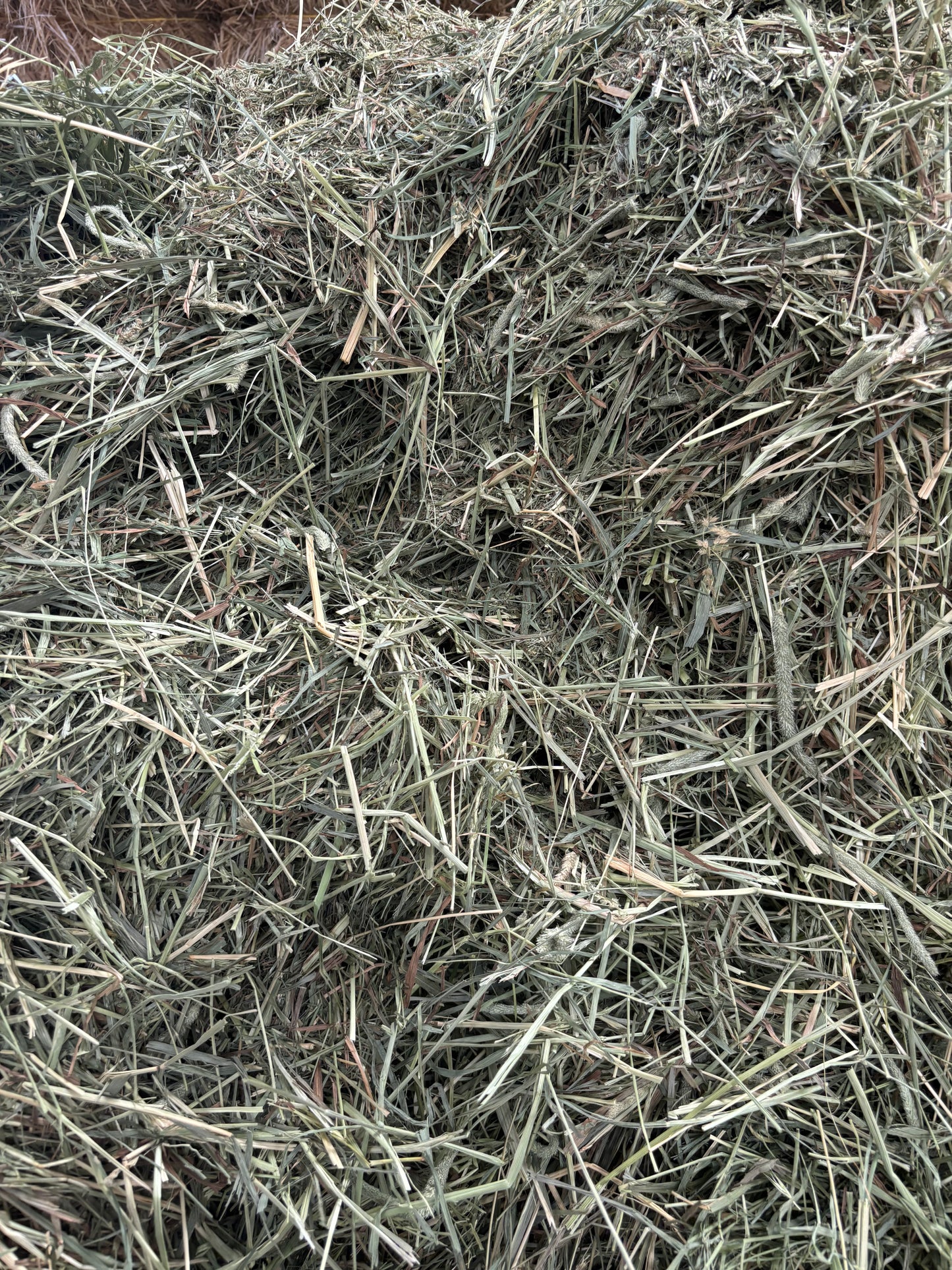 🌾 Premium Meadow Grass Hay for Rabbits, Guinea Pigs & Small Pets