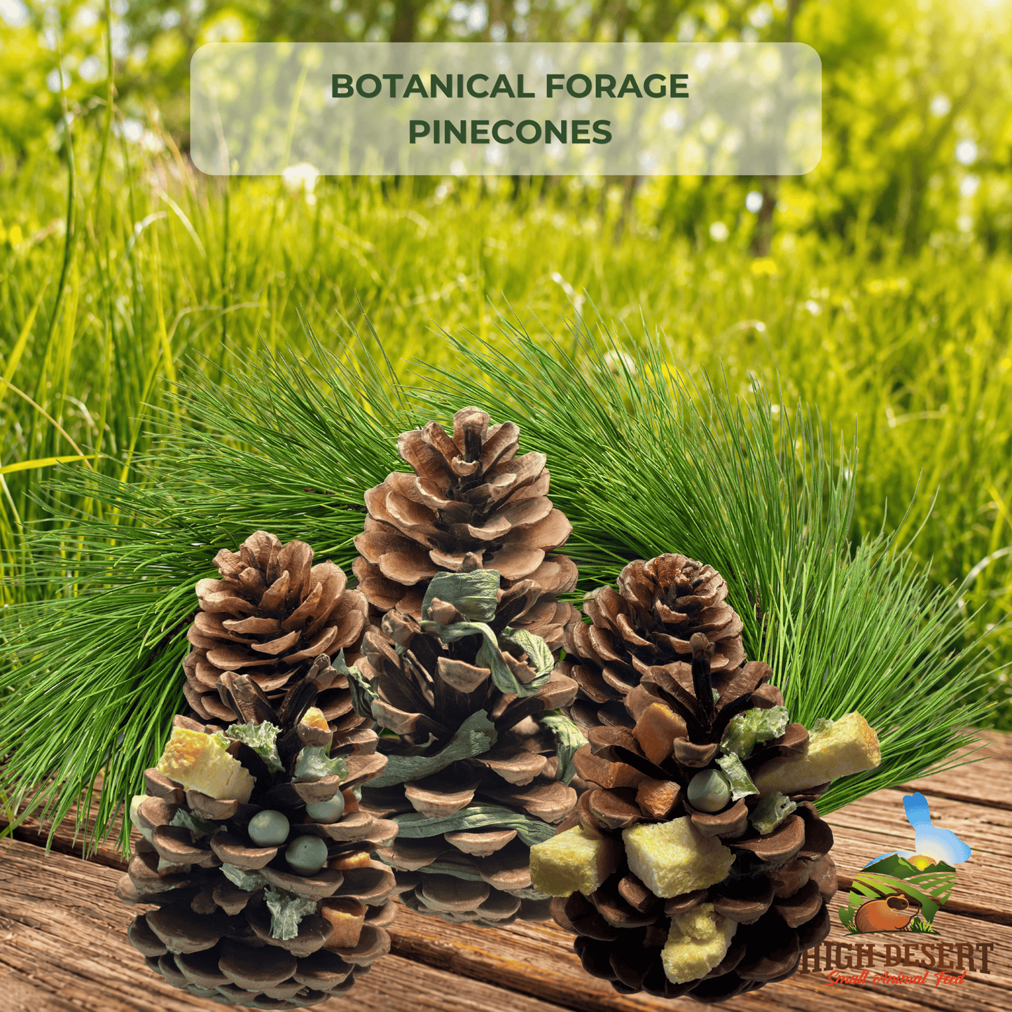  Forage Pinecones