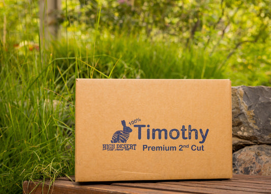 🌾 Premium Timothy Hay 2nd Cut