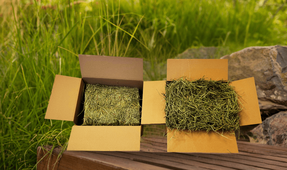 Ultra Fluffy 1st Cut Timothy for Rabbits, Guinea Pigs & Small Pets