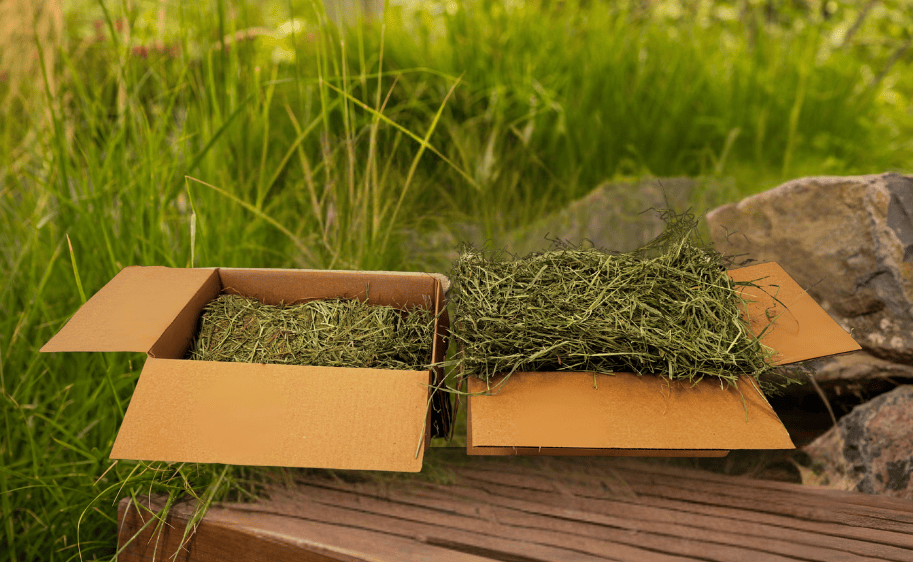 Ultra Fluffy 2nd Cut Timothy for Rabbits, Guinea Pigs & Small Pets