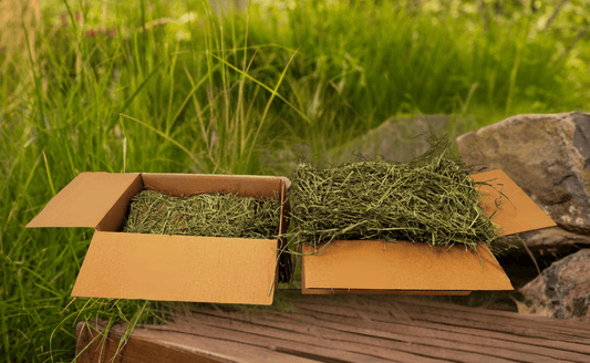 Ultra Fluffy 2nd Cut Timothy for Rabbits, Guinea Pigs & Small Pets