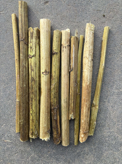 High Desert Dried Sunflower Stalks for Rabbits, Guinea Pigs & Small Pets