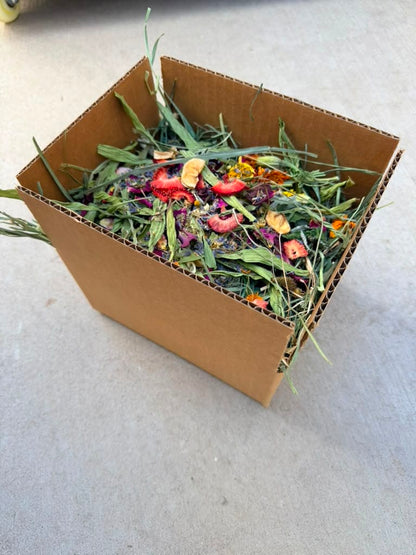 High Desert Natural Forage Blend in a Box for Rabbits, Guinea Pigs & Small Pets