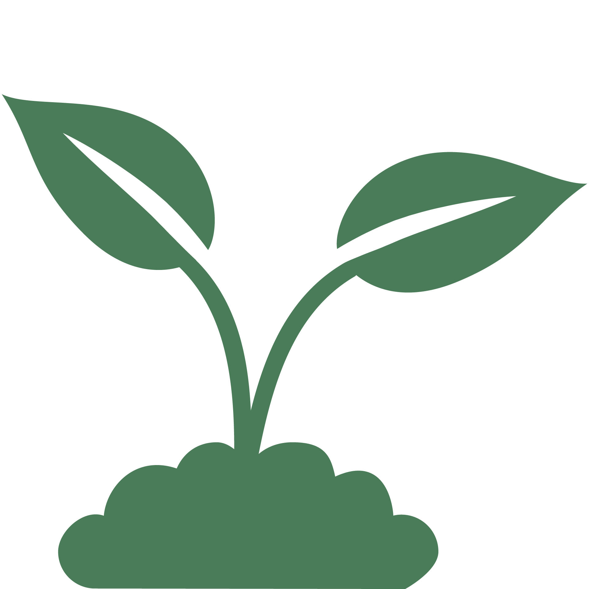 Icon of a plant growing in USA soil.