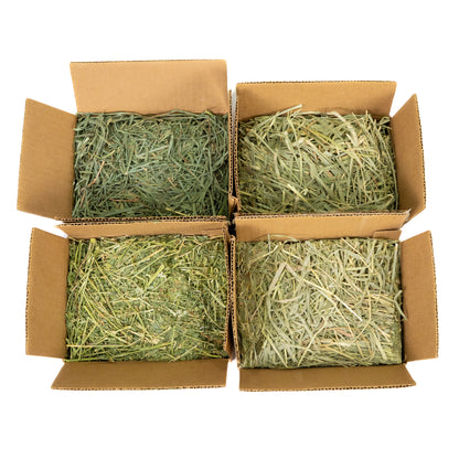 Hay & pellet sampler box – Timothy hay, orchard grass hay, alfalfa & pellet mixes